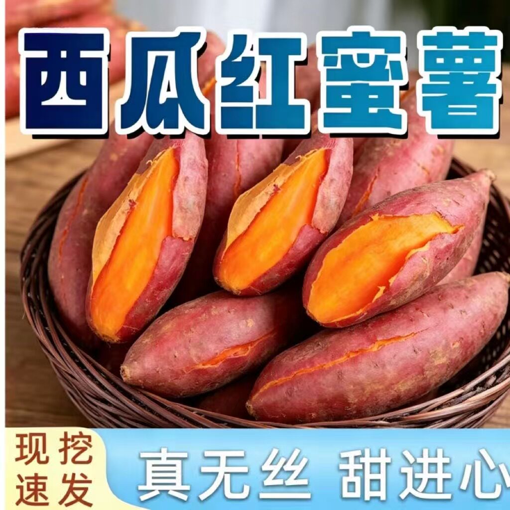 沙地西瓜红心蜜薯现挖无筋无丝
