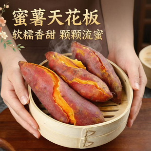 沙地现挖地瓜山芋超甜板栗番薯粉糯软糯香甜可口黄心蜜薯红薯