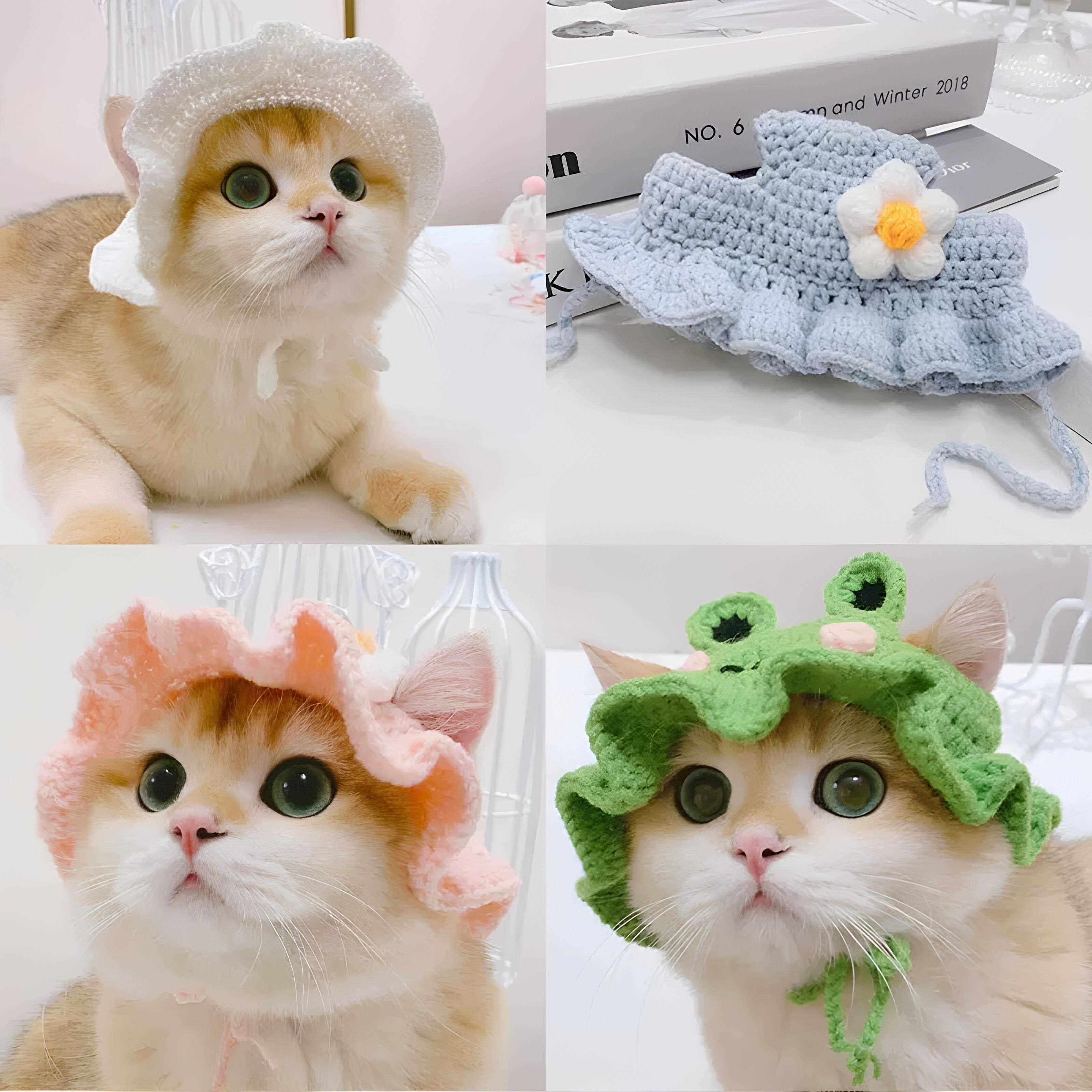 猫咪帽子露耳朵春田花花