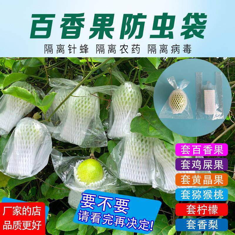 新款水果保护袋百香果防
