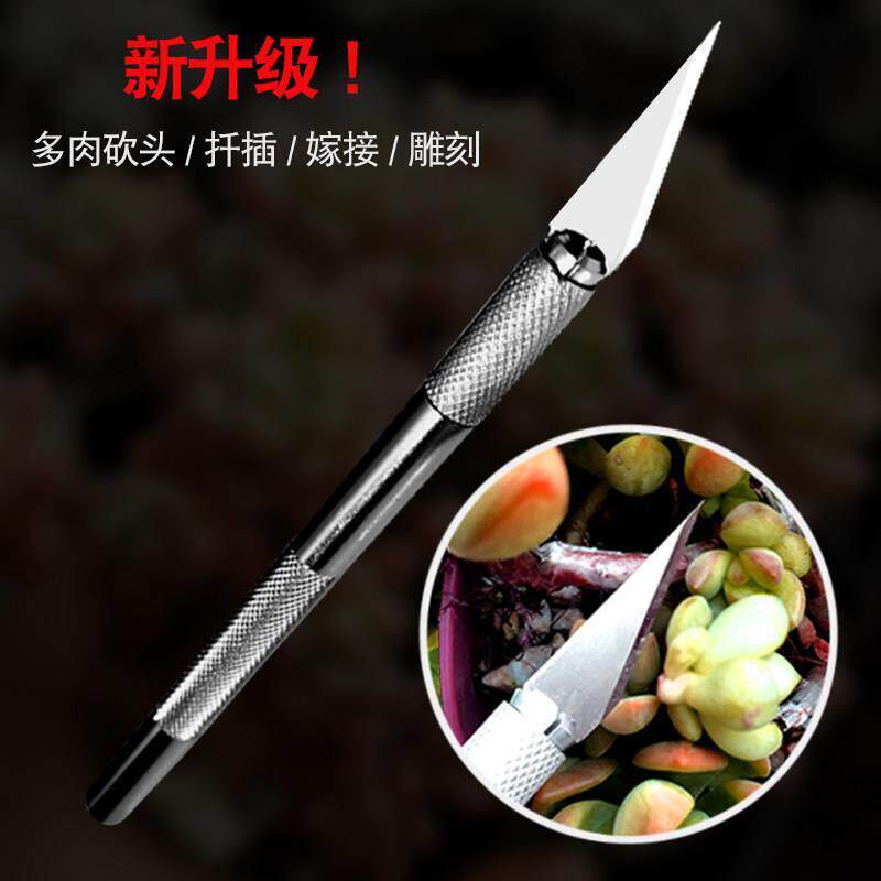 果树嫁接专用刀多肉砍头