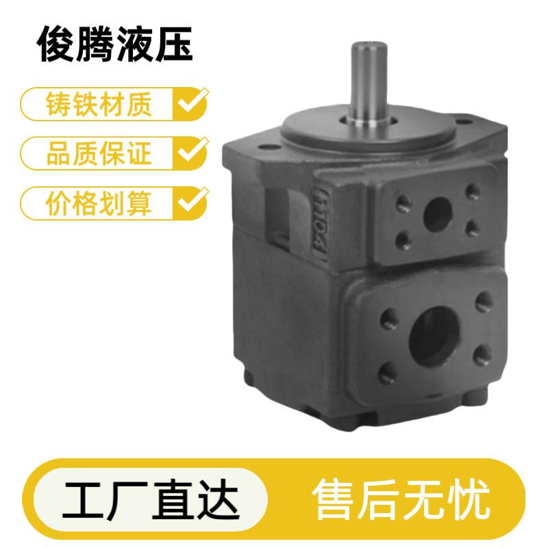 叶片泵专业厂家物超所值超静音p