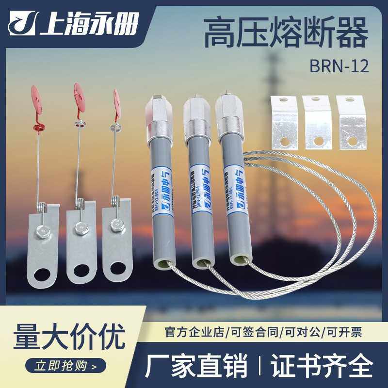 高压并联电容器BR2 BRN BRW-10-12KV25A熔断器管保险丝48A60A100A