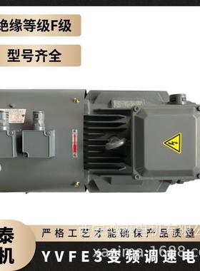 鸿泰低压三相异步电机tYVFE3-132M1-6t4KWt380Vt动力强劲且稳定