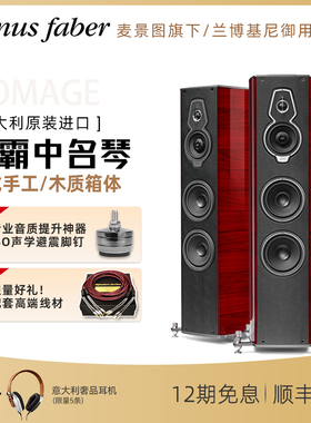 【势霸-麦景图】中名琴G2 Serafino G2落地音箱 【颜色备注】