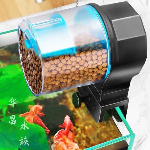 鱼缸喂食器自动锦鲤金投水
