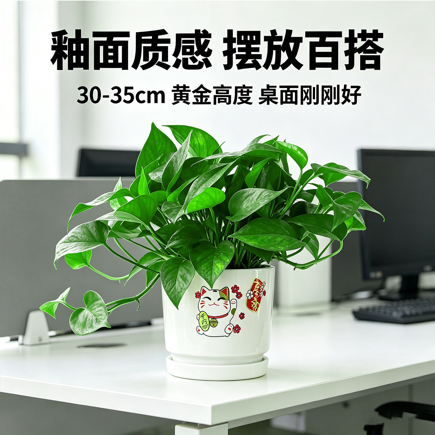 网红招财款陶瓷盆绿萝盆栽办公桌面卧室花卉植物新房玄关土培绿箩