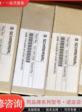 101181259施迈赛SCHMEASAL安全开关AZM 1可维修