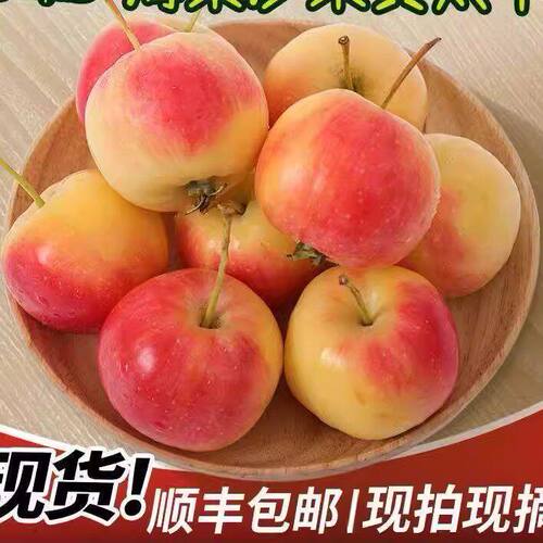 东北特产沙果海棠果5斤现摘黄太