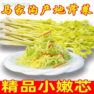 马家沟芹菜中通新鲜芹菜心空心芹