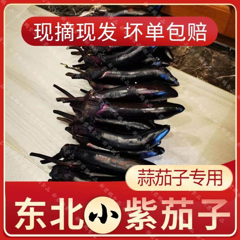 东北小茄子新鲜时令蔬菜现发小紫茄子蒜茄子水果紫裤紫把茄子现摘