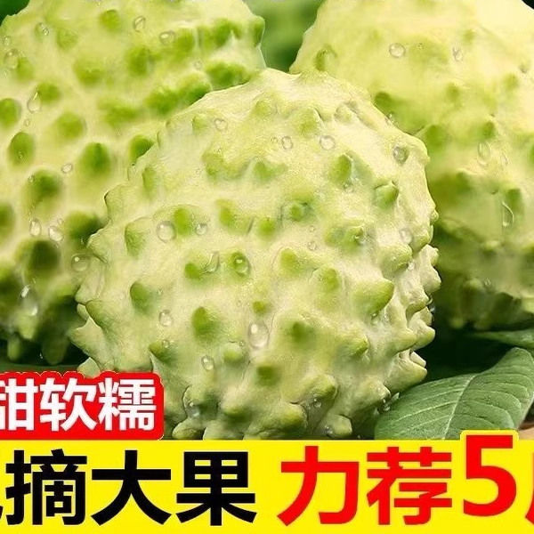 凤梨牛奶佛头果大目番荔枝