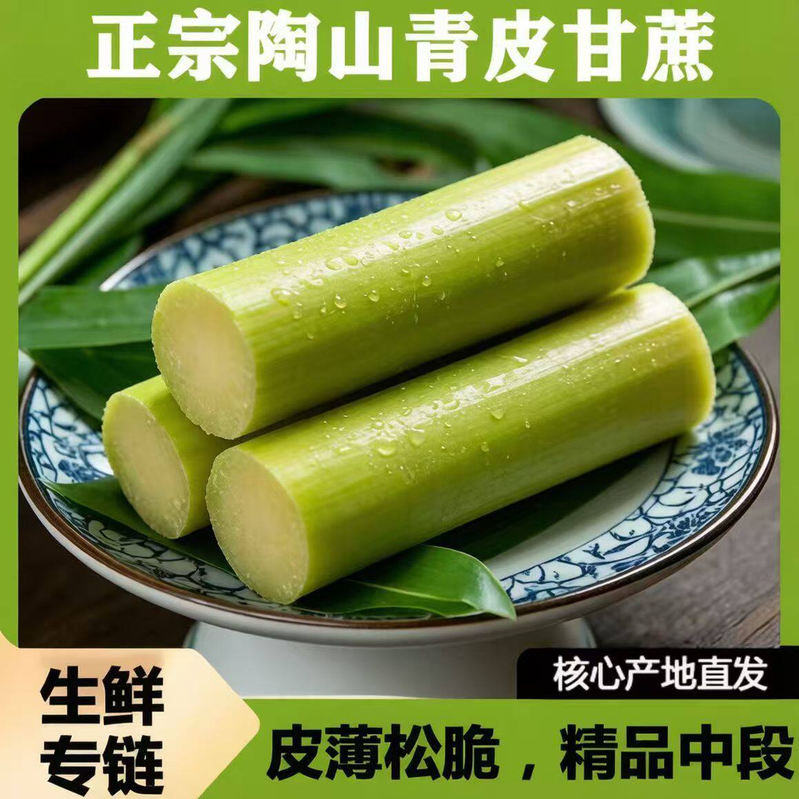 2026正宗青皮甘蔗绿皮果蔗中段青皮孕妇果肉应季多汁产地浙江陶山