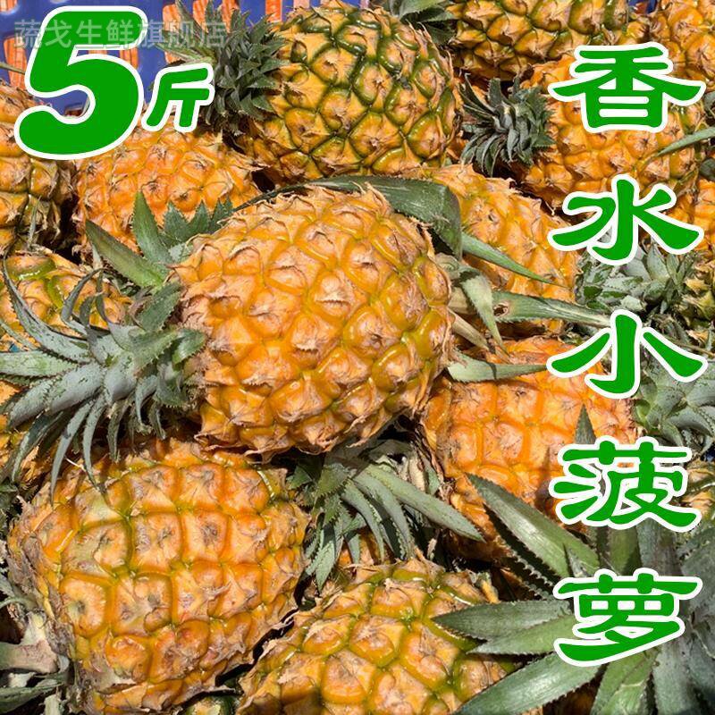 脆甜新鲜香水迷你菠萝现摘当季水果凤梨胜泰国小菠萝5斤送刀除味