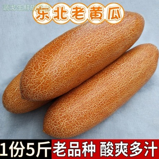 当季现摘东北特产麻皮老黄瓜种农家新鲜蔬菜炖汤凉菜开胃酸黄瓜