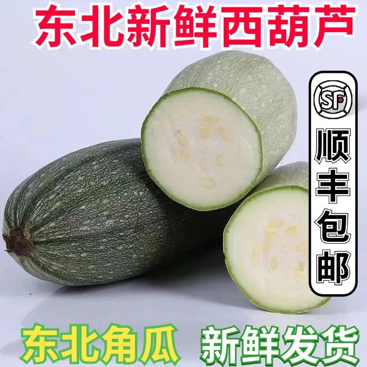 东北西葫芦新鲜角瓜大角瓜老品种作馅农家大角瓜大白瓜顺丰包邮