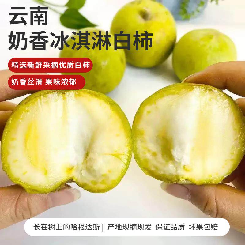 顺丰云南普洱奶香冰淇淋白柿子新鲜当季现摘现发 3斤软糯香甜包邮
