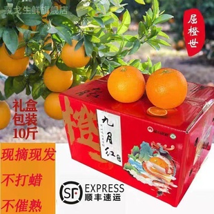 正宗九月红果冻脐橙湖北宜昌特产秭归脐橙子应当季新鲜甜水果整箱