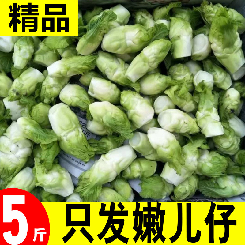 四川儿菜5斤时令嫩儿仔新鲜绿蔬菜农家自种娃娃菜母子泡菜原料,水产肉类/新鲜蔬果/熟食,其它,淘宝优惠券,粉丝福利购,淘宝优惠卷