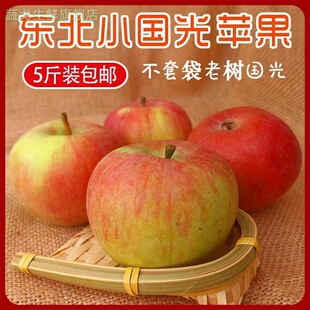 小国光苹果笨果光东北特产国光小苹果瓦房店不打蜡不套袋 5斤包邮