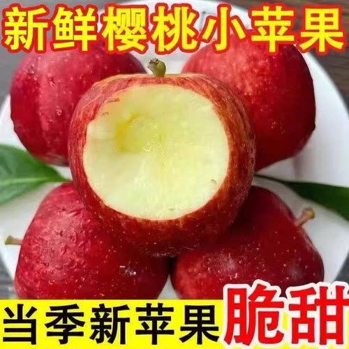 当季现摘樱桃小苹果新鲜水果现摘当季冰糖心红富士萍果孕妇嘎啦果
