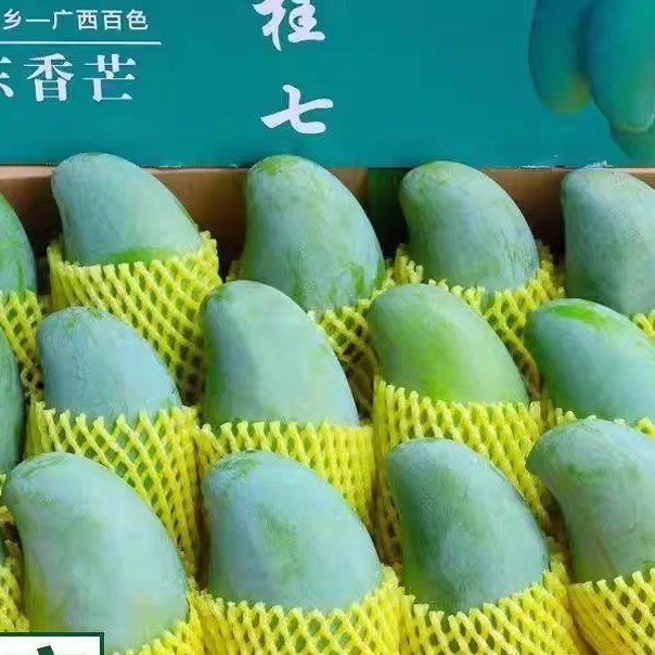 广西百色田东桂七芒果大果香芒