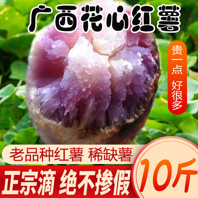 广西花心薯板栗红薯农家自种地瓜高山番薯槟榔薯冰淇淋薯紫薯乌薯