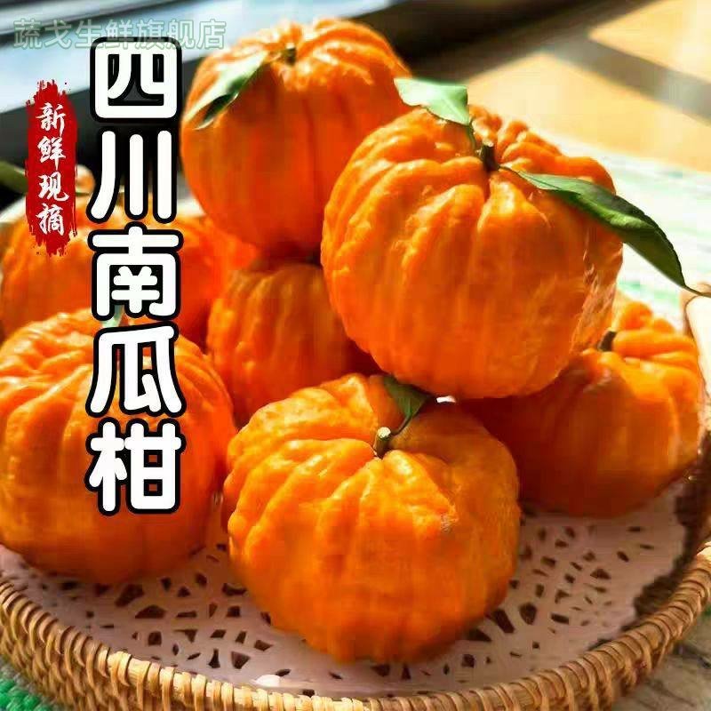 正宗南瓜柑四川发财灯笼柑新鲜大果当季现摘现发清甜多汁新鲜包邮,水产肉类/新鲜蔬果/熟食,桔子,淘宝优惠券,粉丝福利购,淘宝优惠卷