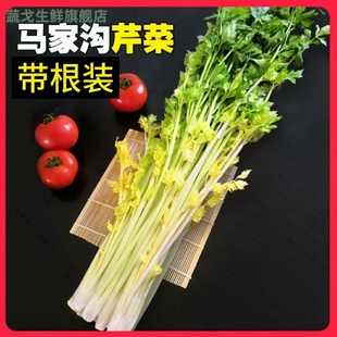 马家沟芹菜青岛特产平度现采新鲜蔬菜2斤装水晶芯玻璃脆芹菜芯
