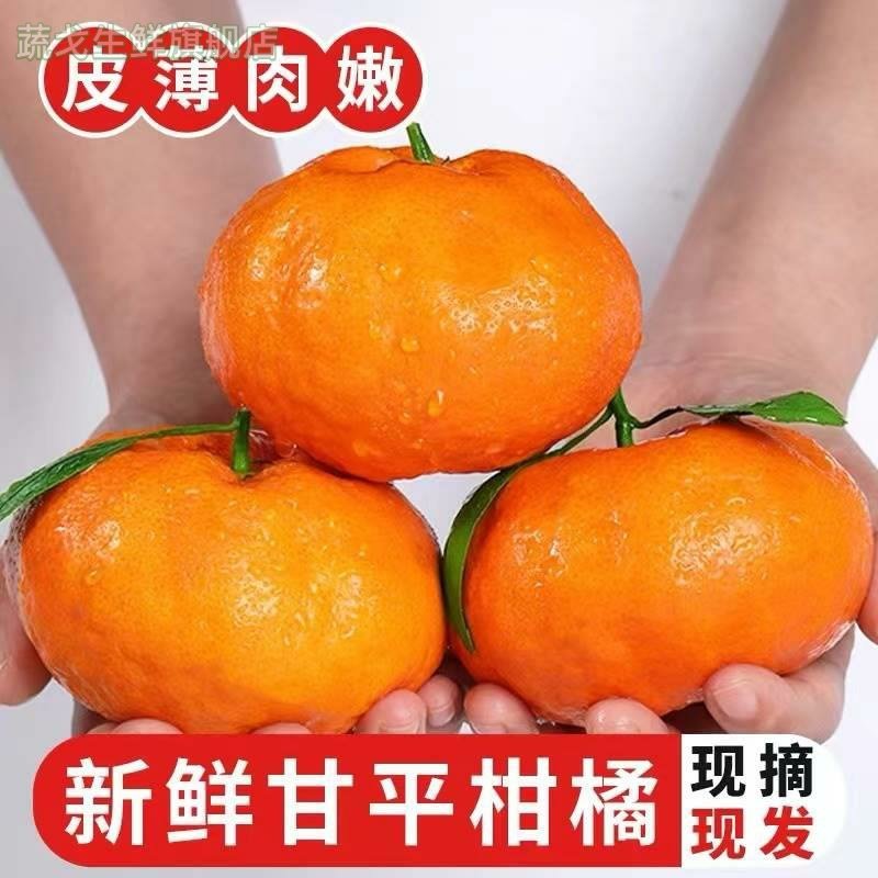 四川甘平柑橘皇后高端水果当季新鲜水果蜜橘子香甜皮薄多汁现摘发,水产肉类/新鲜蔬果/熟食,桔子,淘宝优惠券,粉丝福利购,淘宝优惠卷