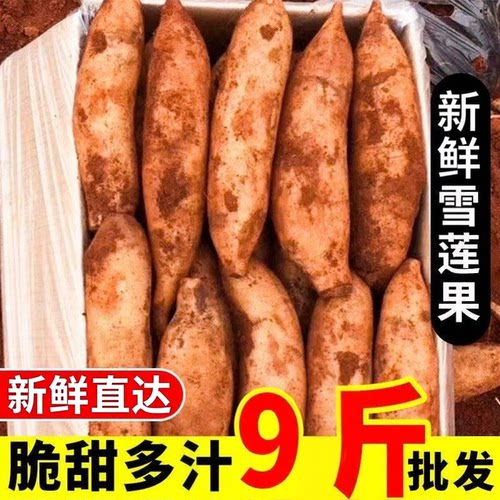 天山雪莲果新鲜大果9斤应当季孕妇水果特级红心云南雪连果一整箱