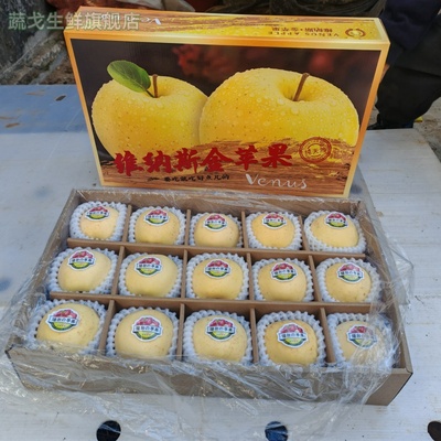 正宗苹果黄金维纳斯红富士产地山东烟台脆甜混装礼盒公司福利
