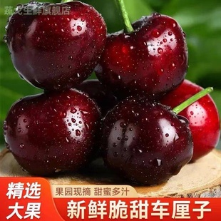 2025智利进口桑提娜黑珍珠车厘子4J特大果原装一整箱大樱桃原箱装