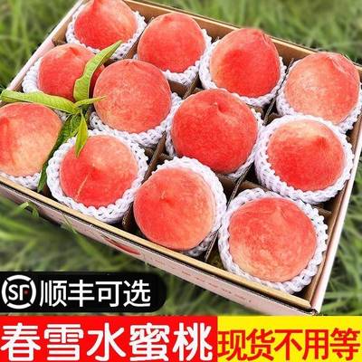 现货露天水蜜桃5斤 脆桃毛桃当季时令孕妇桃子水果新鲜当季整箱