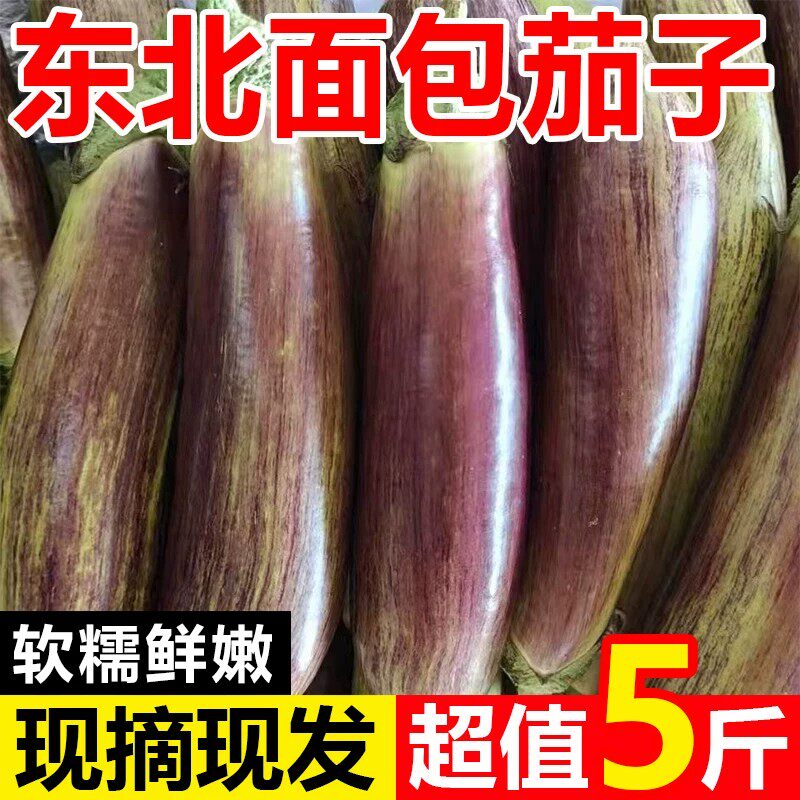东北花茄子新鲜东北面包茄子新鲜面包茄子蔬菜特产青茄子顺丰包邮
