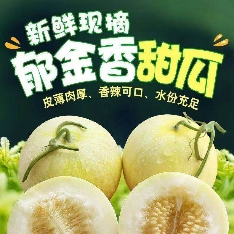 2026上市头茬正宗郁金香甜瓜云南新鲜薄皮白水果整箱自然香瓜,水产肉类/新鲜蔬果/熟食,甜瓜,淘宝优惠券,粉丝福利购,淘宝优惠卷