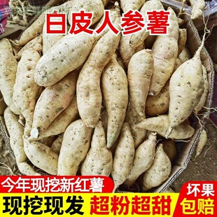 贵族白皮人参薯5斤牛奶冰糖蜜薯板栗红薯新鲜小白薯白心白芯地瓜