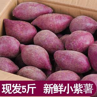 宗正小紫薯珍珠板栗紫薯特级新鲜低脂粉糯紫地瓜现挖沙地薯z
