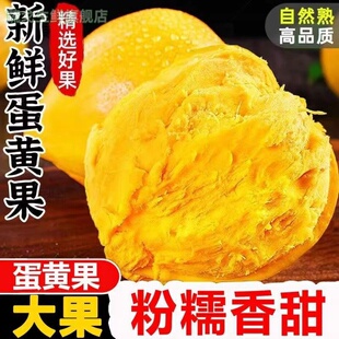 鸡蛋果子新鲜蛋黄果1-5斤云南海南特产当季水果孕妇热带应季整箱