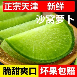 生吃脆甜沙窝萝卜 天津卫青萝卜新鲜现摘 农家自种水果萝卜包邮