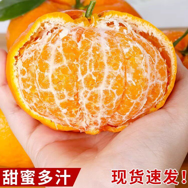 正宗四川明日见柑橘新鲜水果当季现摘甜桔子耙耙柑桔大果整箱包邮