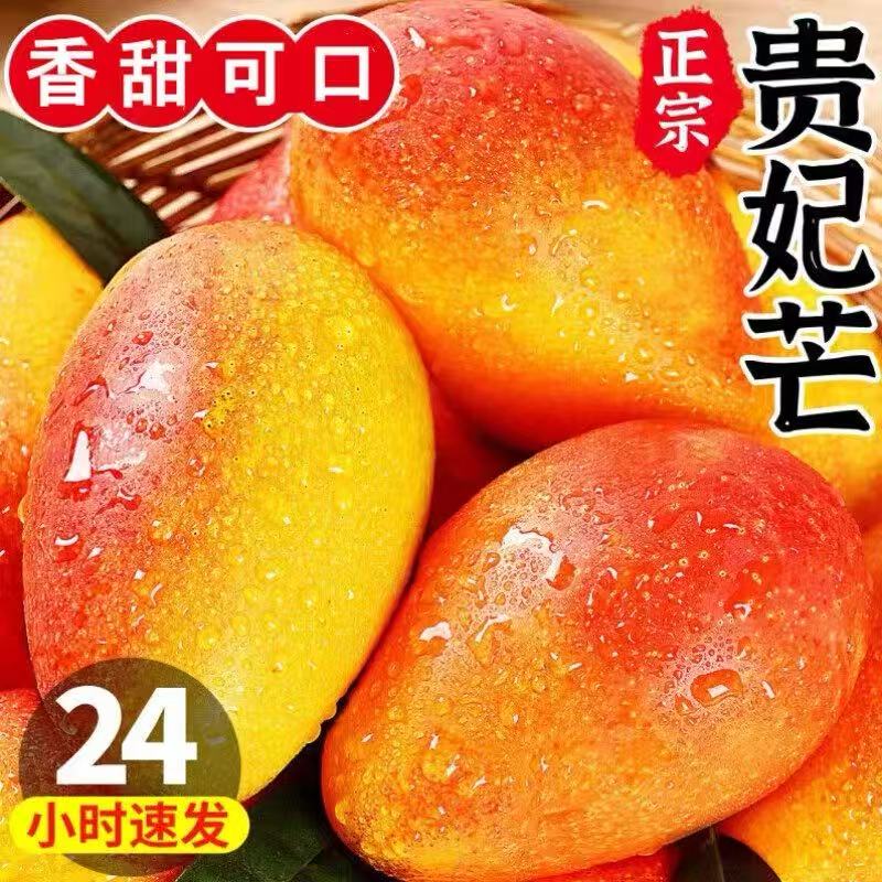 2026贵妃芒彩虹芒新鲜现摘应芒果