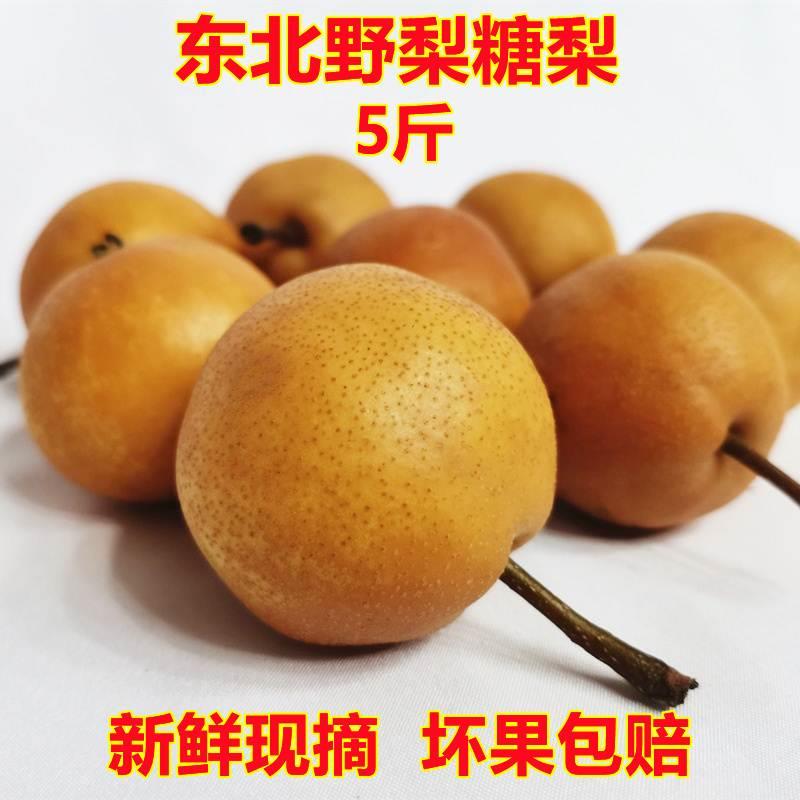 东北红棠梨大糖梨小山梨吉林野梨新鲜酸甜唐梨坏果包赔