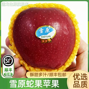 雪原蛇果苹果6粒装 酥甜多汁黄土高原高海拔甘肃红蛇果顺丰包邮