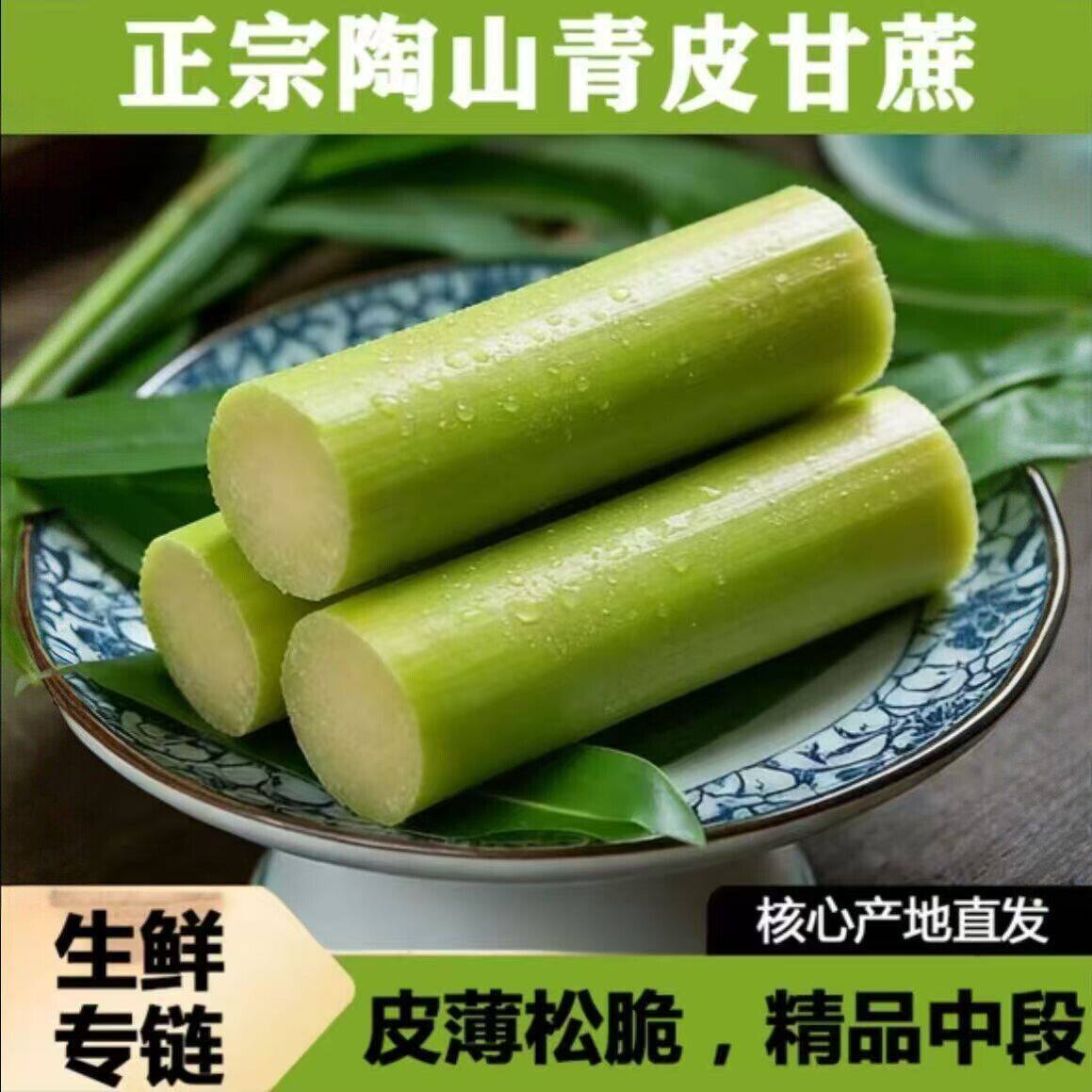 包邮 温州正宗陶山甘蔗脆甜多汁现砍新鲜当季水果