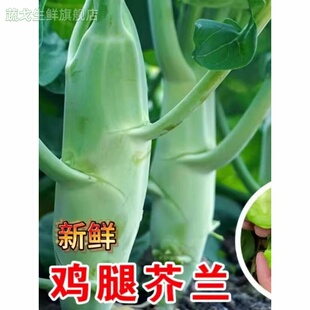 新鲜芥兰菜蔬菜大芥蓝鸡腿芥兰笋新鲜现摘清脆爽口特色食材包邮