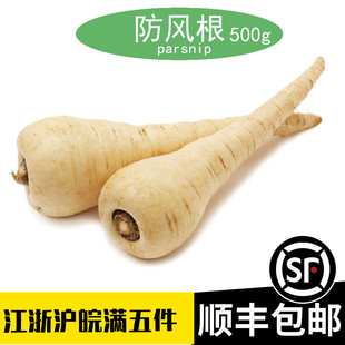 新鲜欧洲防风根parsnip蒲芹菜萝卜500g法国西餐烘焙食用烤欧独活