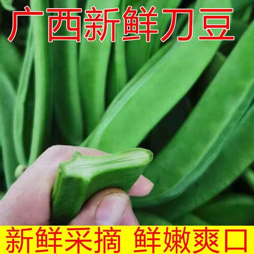 新鲜刀豆现摘大虫豆当季扁豆大芭豆时令大刀豆整箱脆嫩爽口可泡腌