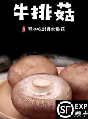蘑菇新鲜牛排菇小褐菇洋松茸波多黎各菌贵啡菇香啡菇烧烤菇食用菌