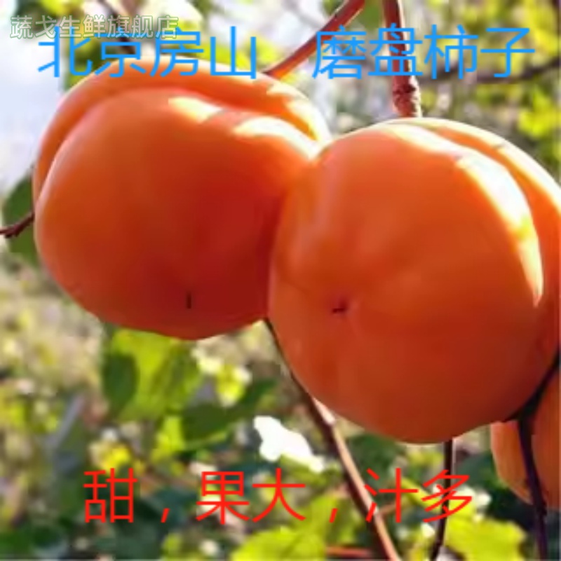 北京房山磨盘柿子大柿子甜柿贡柿
